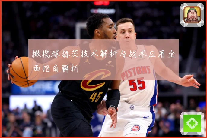 橄榄球赫茨技术解析与战术应用全面指南解析