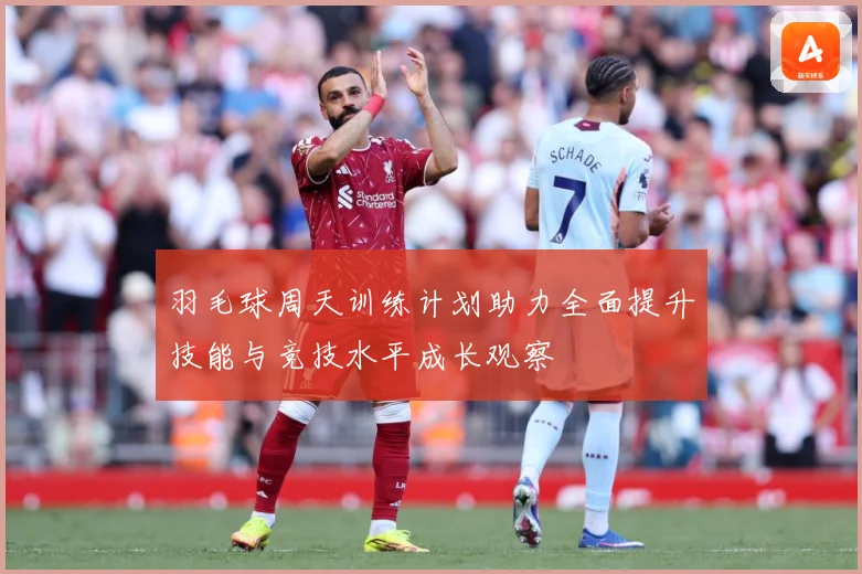 羽毛球周天训练计划助力全面提升技能与竞技水平成长观察