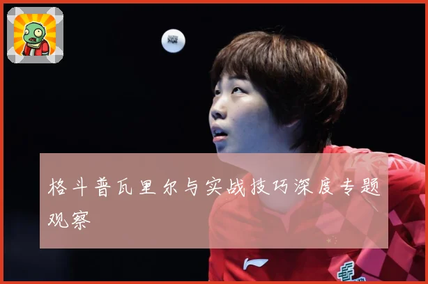 格斗普瓦里尔与实战技巧深度专题观察
