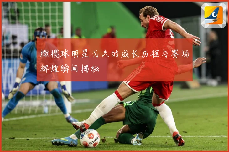 橄榄球明星戈夫的成长历程与赛场辉煌瞬间揭秘