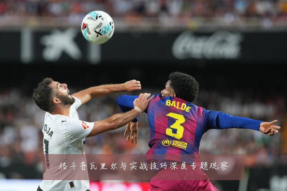 格斗普瓦里尔与实战技巧深度专题观察